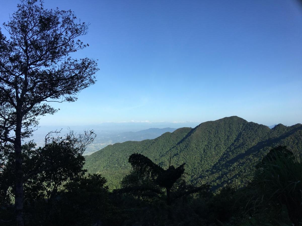 Chan May Tam Dao Bagian luar foto
