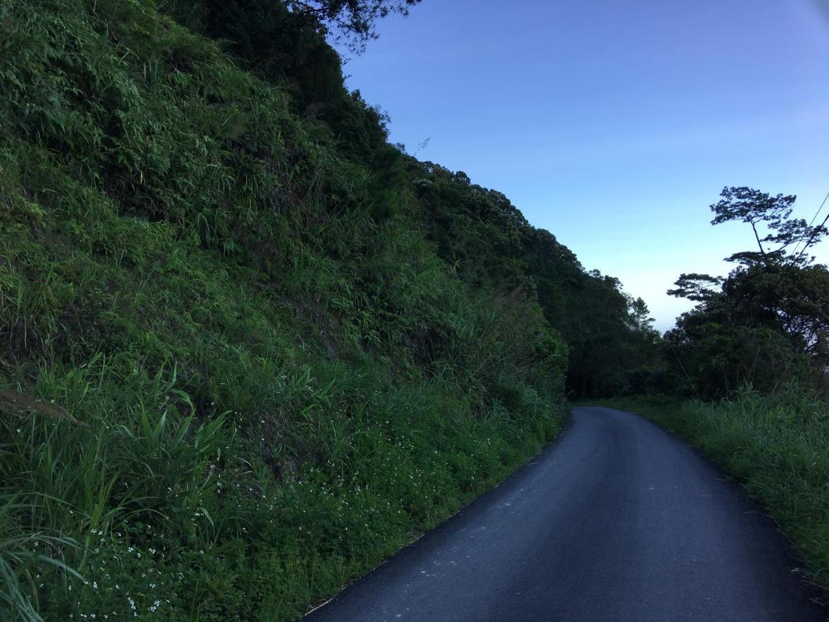 Chan May Tam Dao Bagian luar foto