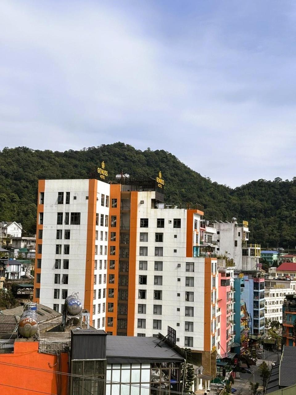 Chan May Tam Dao Bagian luar foto